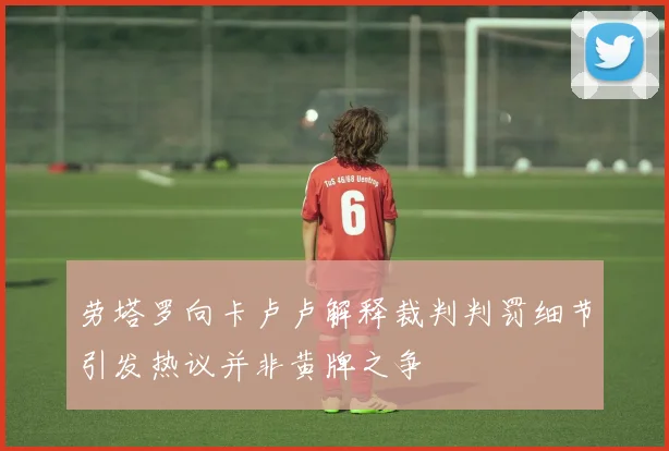 劳塔罗向卡卢卢解释裁判判罚细节引发热议并非黄牌之争