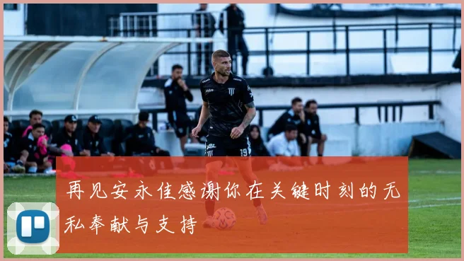 再见安永佳感谢你在关键时刻的无私奉献与支持
