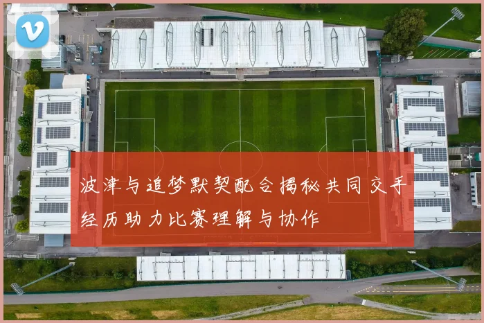 波津与追梦默契配合揭秘共同交手经历助力比赛理解与协作