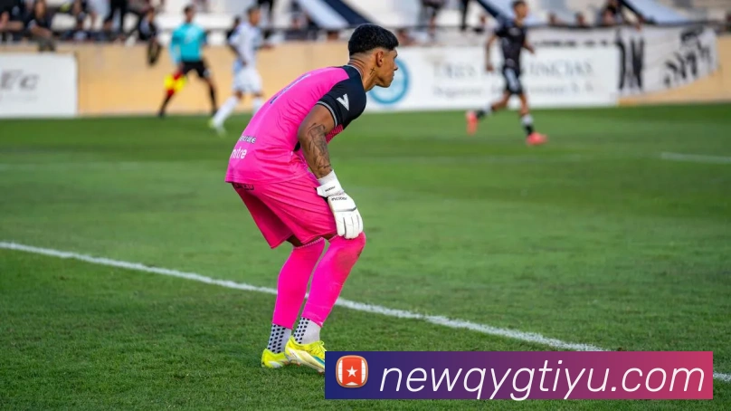 奇异果体育平台生态图